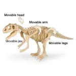 Dinosaur Fossil Digging Kit - Image 8