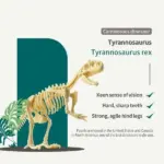 Dinosaur Fossil Digging Kit - Image 5